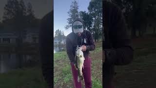 Big bass caught in private dam - bass fishing South africa#shorts