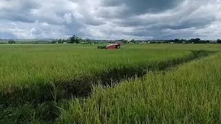 KUBOTA DC93PH COMBINE HARVESTER PERFORMANCE