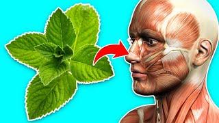 7 Health Benefits of Mint Leaves You Don’t Know About