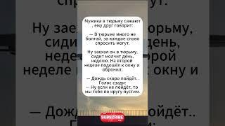 Много не болтай #юмор #сатира #анекдоты #анекдот #смех #смешновидео #мем