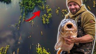 Hook & Hold EXTREME 🪵 am Rainbow Lake | Karpfenangeln mit Brocke