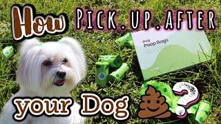 How to use Poop Bags, DEMONSTRATION!!! LAIKA PETS, Coton de Tulear I Lorentix