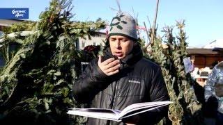 Рождественские чтения