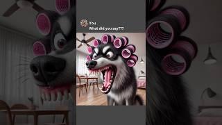 Chihuahua Pranks Mom #memes