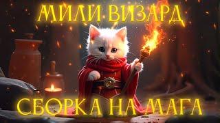 СБОРКА НА МАГА | МИЛИ МАГ | DARK AND DARKER | ЛУЧШАЯ СБОРКА? | БОНЬК ВИЗАРД | МИЛИ ВИЗАРД