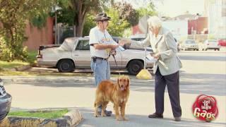 Epic Old Man - Confused Dog Owner