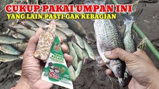 GAMPANG BANGET‼️CARA MEMBUAT UMPAN IKAN NILEM DAN WADER