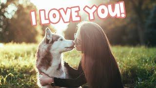 How Do Huskies Show Affection? (6 Heart-Warming Ways)