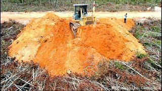 Wonderful Big Dozer Push The Ground Hold On Forest Making New Road