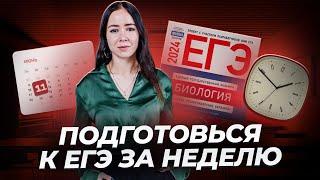 ЛУЧШИЙ способ подготовиться к ЕГЭ по биологии за неделю | Умскул