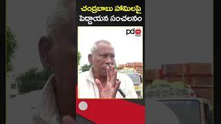 AP Public Talk : CM Chandrababu : YS Jagan : #shorts #pdtvnews