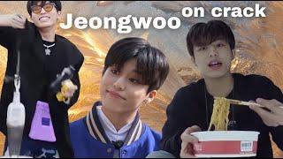 Park Jeongwoo on crack (a compilation)