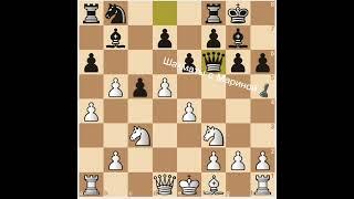 Быстрая победа! Волжский гамбит. Шахматы с Мариной. #chess #шахматысмариной