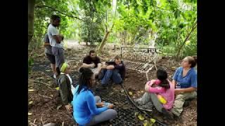 Food Foresters Group Project Video