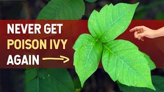 Never Get Poison Ivy Again! The Science Explained