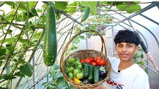 July Garden Harvest and Tour | Kitchen Gardening