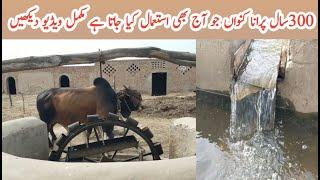 300 Years Old Water Well |old water lifting system | Sindhu Pk