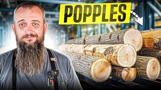 Ever See Popple On A Sawmill?