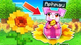 Playing Minecraft As The SECRET Pink Hamster!