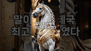 말이 로마제국 최고 지위자였다. #역사 #history