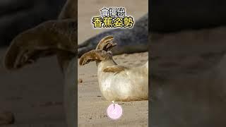 5個 你沒聽過的動物冷知識2023  #short #tiktok #可愛動物