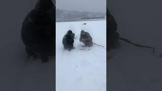 Рыбалка Муром- Павлово (Ока)26 Февраля 2023…Рыбалка на Вертолёт…#shorts