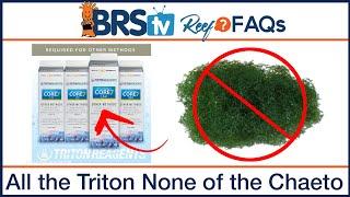 Triton Other Method- Skip the refugium, but use an advanced 4-part reef tank supplement? | Reef FAQs