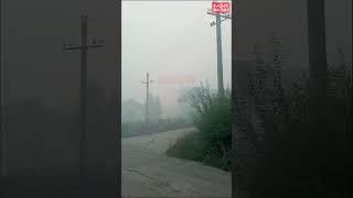 В Приамурье ввели региональный режим чрезвычайной ситуации в лесах