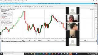 Ad-hoc Zoom trading session-Veribull EA, Trading NASDAQ, Fibonacci Retracement