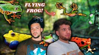 The DEFINITIVE Frog Tier List! (Ft. WillExotic)