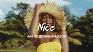 "NICE" - Afro Beat Instrumental 2024 x Afro Pop Type Beat