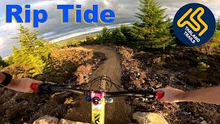 Rip Tide - Tarland Trails 2024