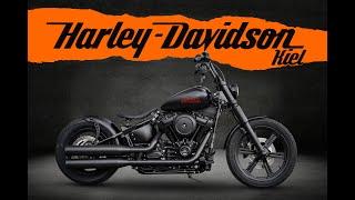 Harley-Davidson Kiel SOFTAIL STANDARD FXST MY23 - HD KIEL UMBAU -