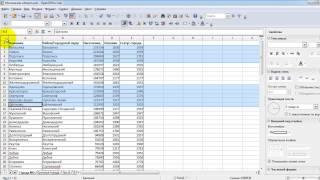 Занятие 7. Создание документа OpenOffice Calc