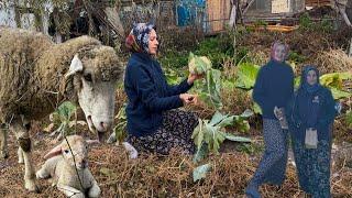 KÖYDE YAŞAM..KIŞA HAZIRLIK