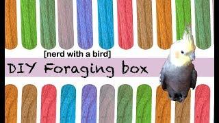 DIY bird foraging box under $20!