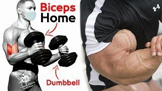 تمارين البايسبس في البيت بالدمبلز فقط -Dumbbell Biceps Home