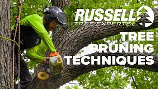 Tree Pruning Techniques and Tips I Russell Tree Experts