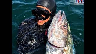 Spearfishing in Egypt by Amr Mohamed Ep1