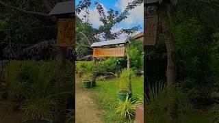 Sweet Park | Chavakachcheri | Sri Lanka | Food love | Briyani | Organic food | Shorts