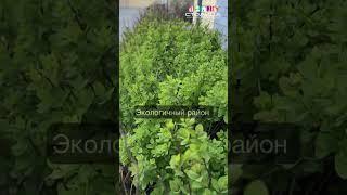 ЖК Горизонт |  Новостройки и ЖК Тюмени  #недвижимость #новостройкивТюмени #тюмень