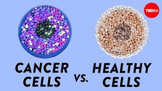 How do cancer cells behave differently from healthy ones? - George Zaidan