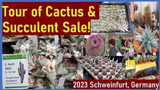 Tour of 2023 CACTUS & SUCCULENT SALE by Schweinfurt Branch, German Cactus Society #cacti #succulents