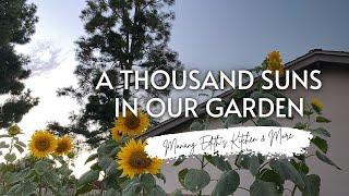 [Flowers and Verses] Beautiful Sunflower Quotes to Lift Your Mood