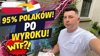 SKAZANY TO DO HOLANDII / CZY SĄ TUTAJ NORMLANI? / OBALAMY MITY