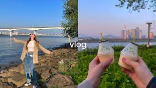 •vlog• живу одна в Корее #жизньвкорее #корея