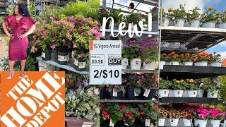  Home Depot Japanese Maple Trees Reblooming Azaleas Evergreens Climbing Mandevillas #homedepotplant