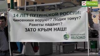 «Молодежное Яблоко» отметило акцией 14-летие Путинской России