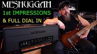 Fortin Meshuggah - First Impressions, In Depth Review