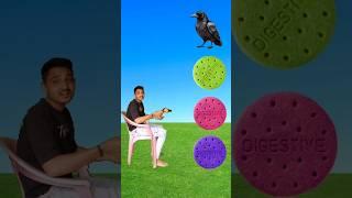 Colourful Marie biscuit to crow pigeon parrot & peacock funny vfx magic #shortsfeed #trendingshorts